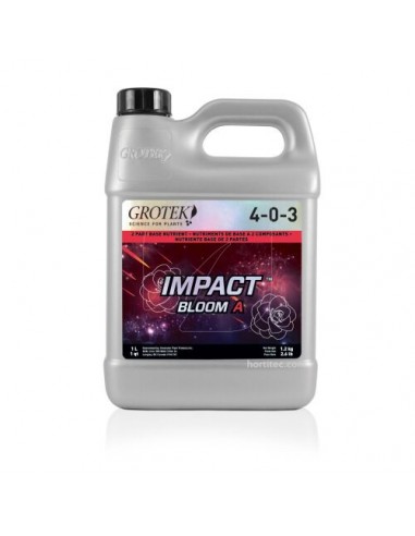 IMPACT BLOOM A+B