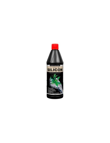 Liquid Silicon