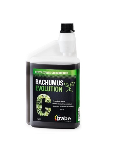 BACHUMUS EVOLUTION CRECIMIENTO