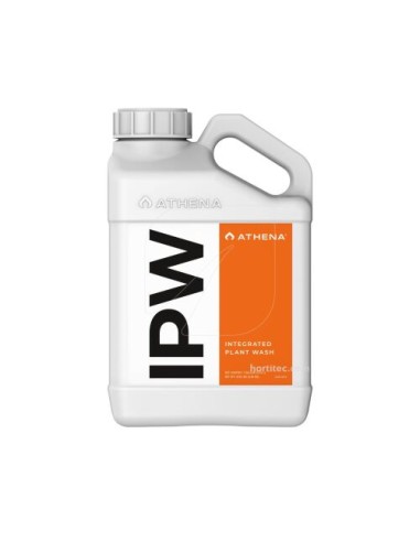 IPW